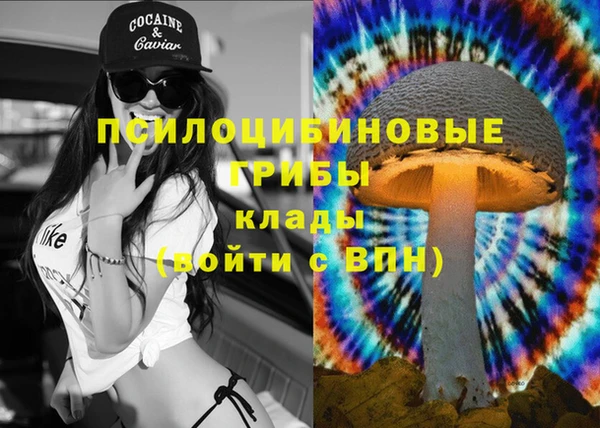 синтетический гашиш Богданович